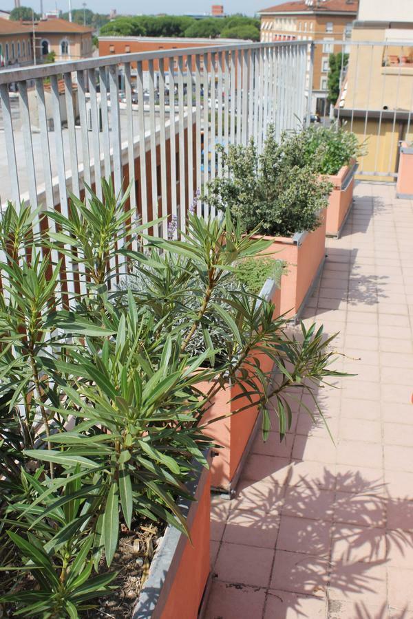 Bed and breakfast Colombo